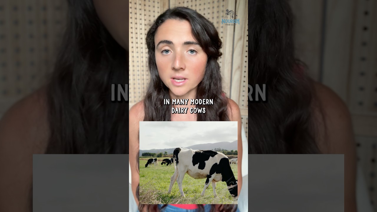 Why We Only Use A2 Dairy