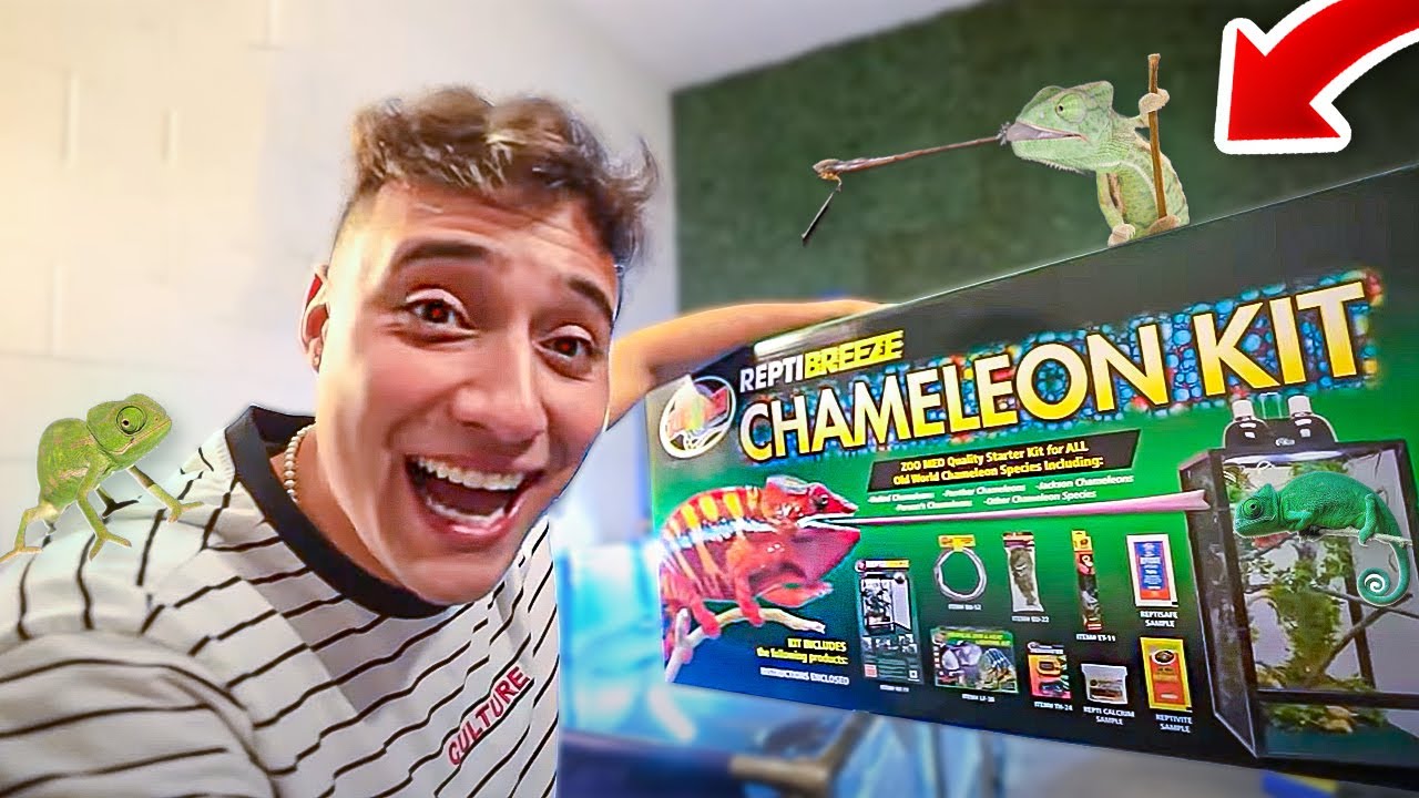 COMPREI uma CASA para MEU NOVO PET - CAMALE&Atilde;O de ESTIMA&Ccedil;&Atilde;O