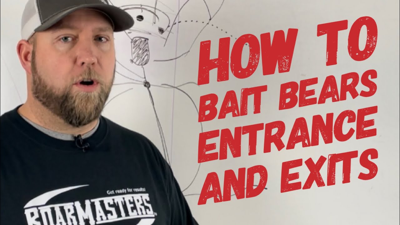 How to Bait Bears 