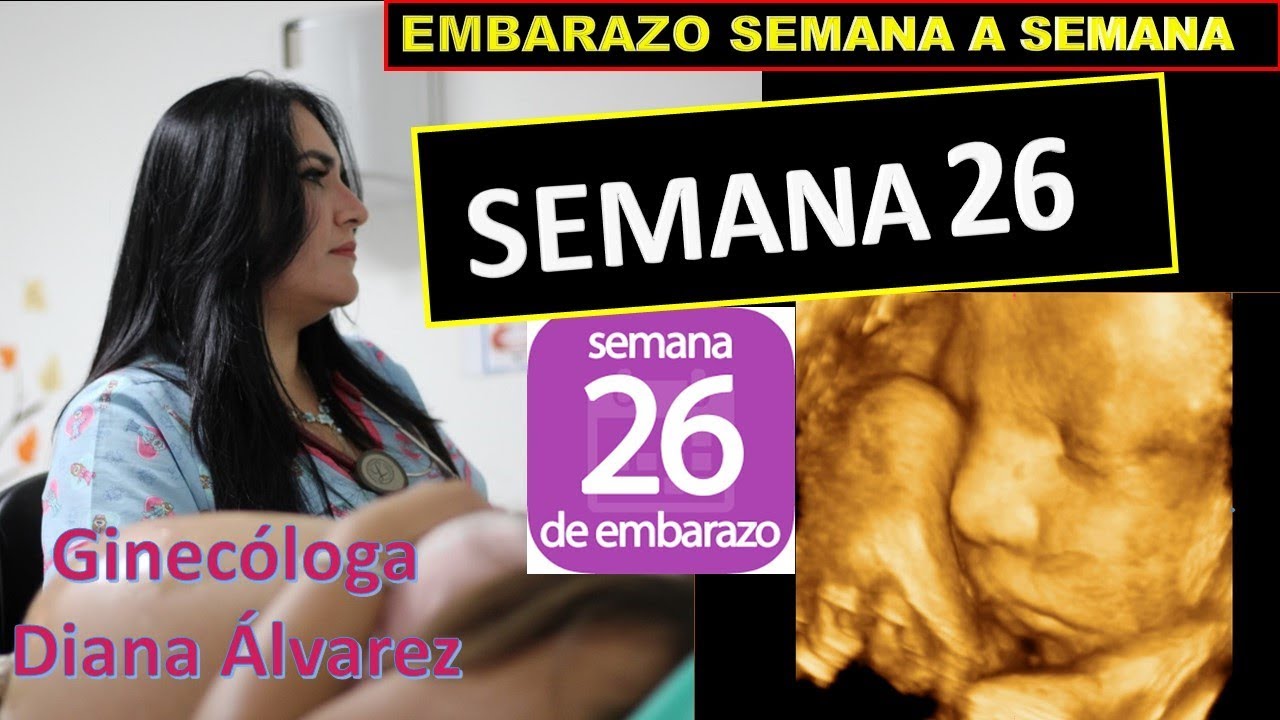 SEMANA 26, EMBARAZO SEMANA A SEMANA POR GINECOLOGA DIANA ALVAREZ