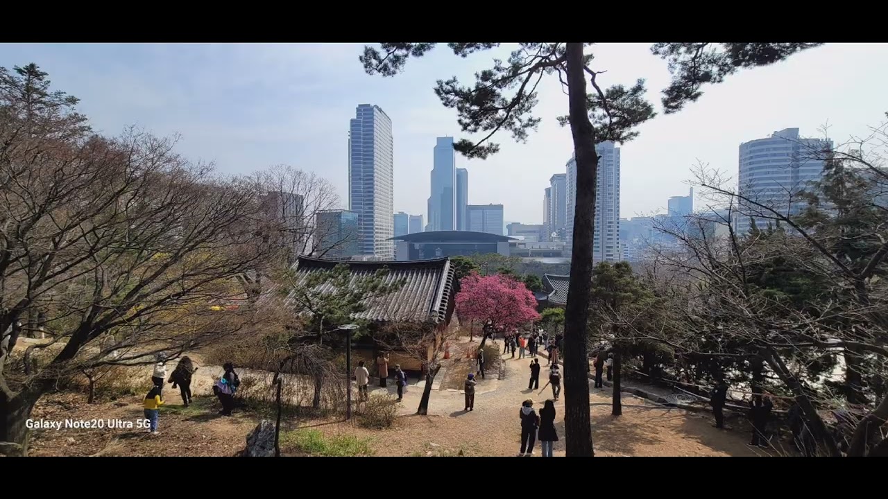 봉은사 