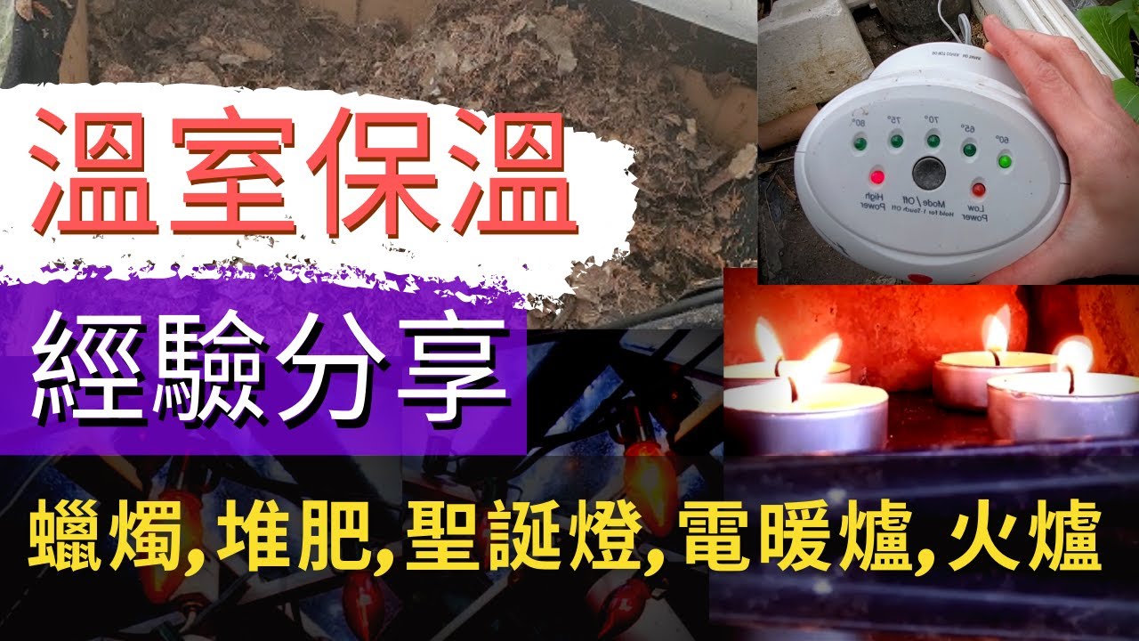 溫室增溫【大開眼界的美國溫室加溫法】暖棚增溫技巧【溫室保溫經驗分享】聖誕燈保暖 | 蠟燭增溫 | 暖房搭建|自建菜棚【蠟燭+堆肥+聖誕燈+電暖爐+火爐】Greenhouse