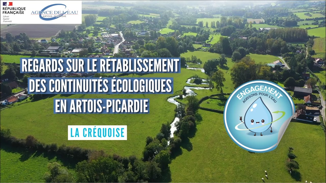 La Créquoise - Regards sur les rétablissements écologiques en Artois-Picardie