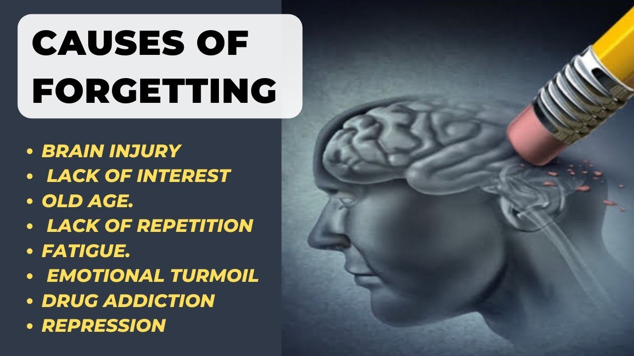 Causes Of Forgetting in Psychology | Why do you Forget ?