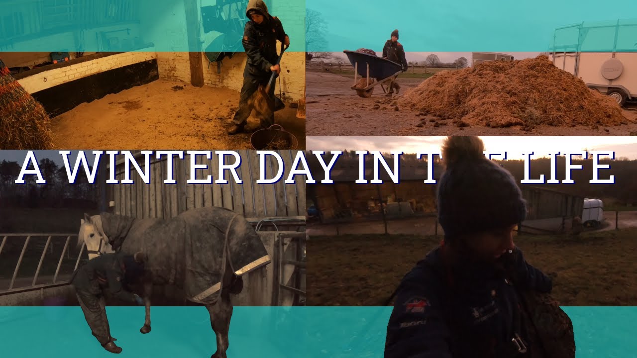 A Winter Day in the life - Vlog 114 - Beth Endurance