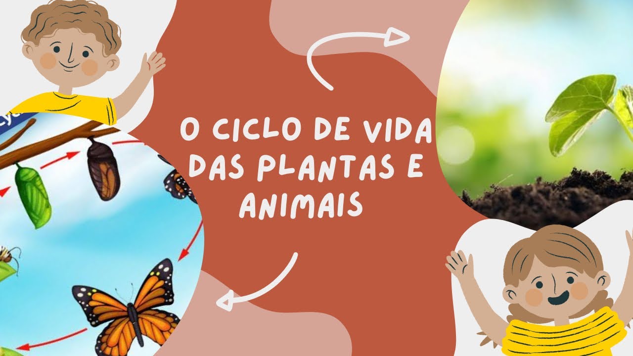 O INCR&Iacute;VEL CICLO DE VIDA DAS PLANTAS E ANIMAIS - EDUCA&Ccedil;&Atilde;O INFANTIL