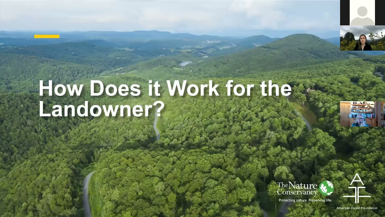 Forest carbon programs to assist private landowners