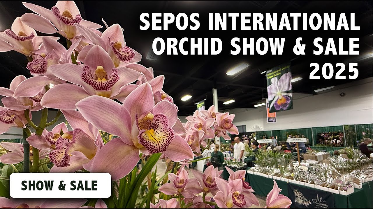2025 SEPOS International Orchid Show & Sale | SPECTACULAR Orchid Displays & International Vendors