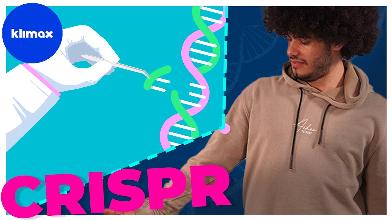 CRISPR: Gen-saksen, der kan hjælpe klimaet  | KLIMAX