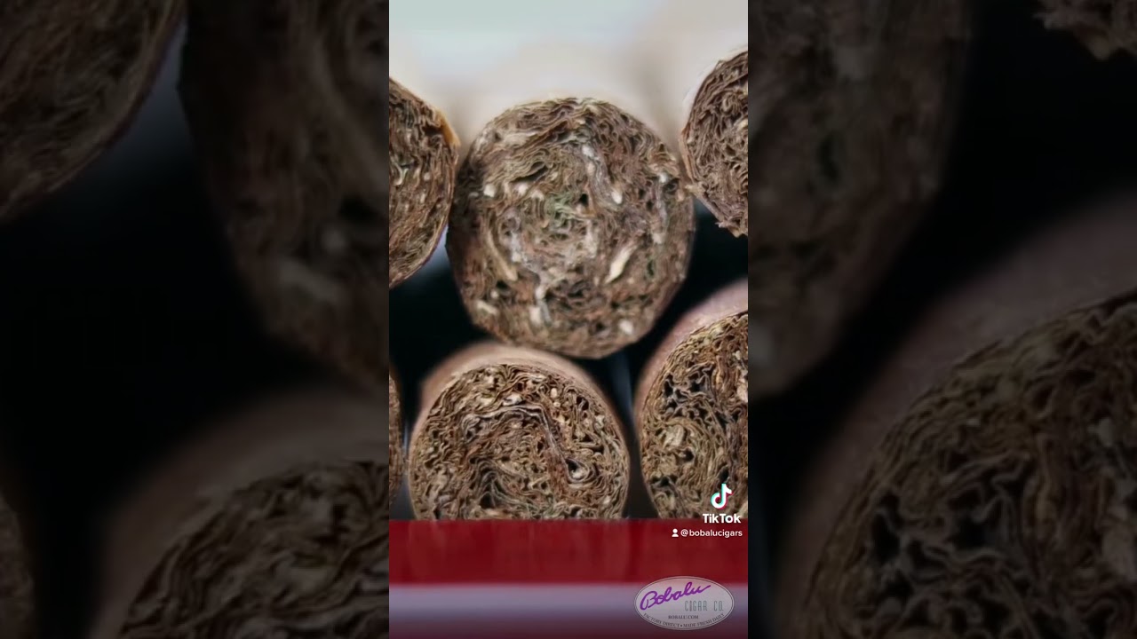 From Seed to Cigar