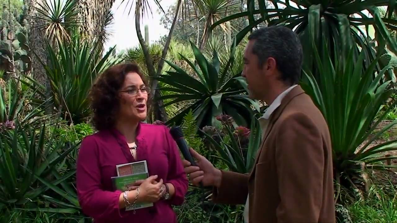 Concierto de sones jarochos en el jardín botánico del IBUNAM