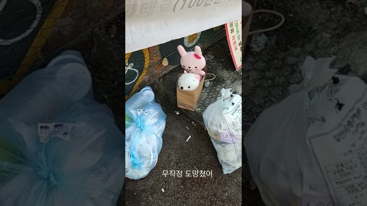 떠나가는 개들 snowdog