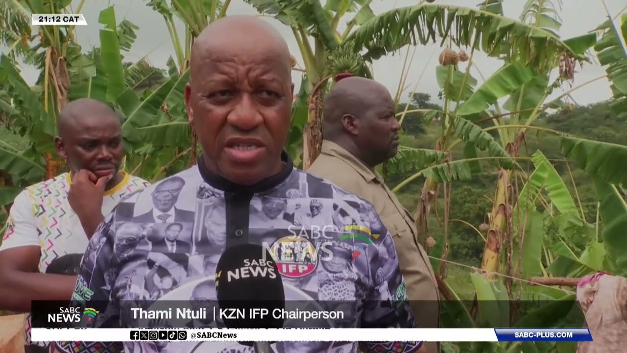 KZN By-Elections | IFP leads door-to door campaign in Umzumbe