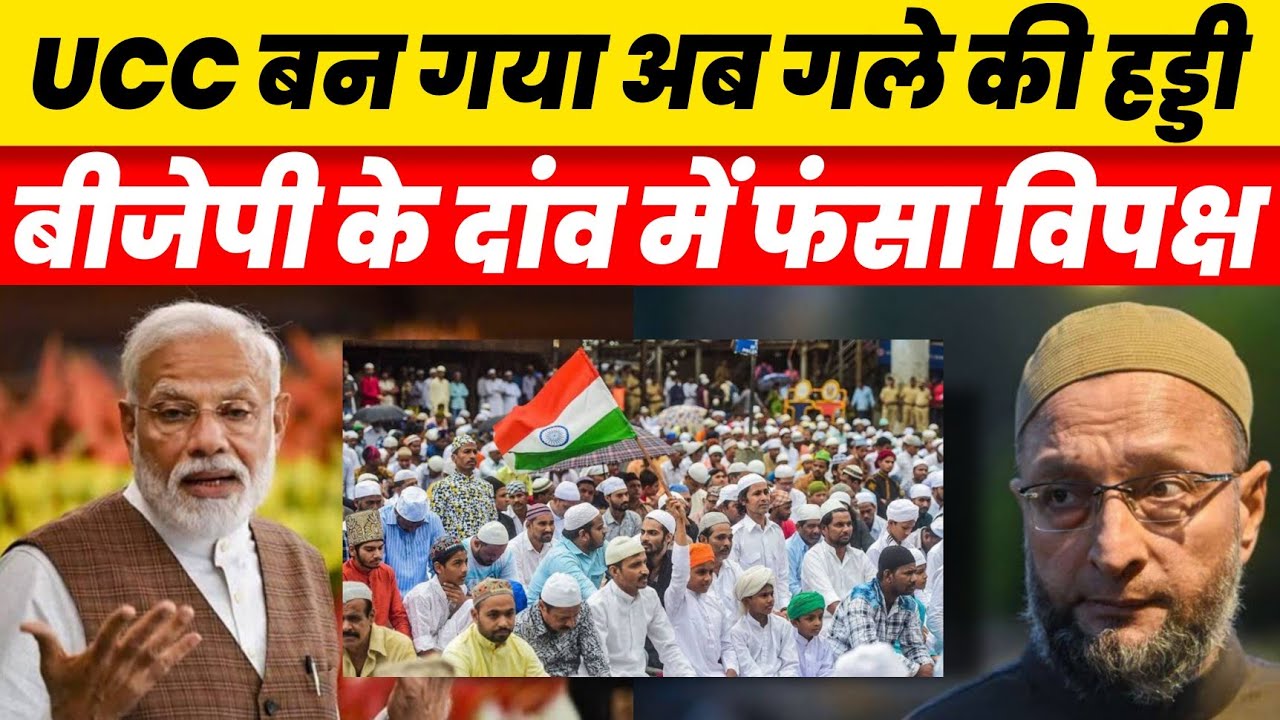 AAP Shiv Sena In Support Of UCC NCP Neutral Is Opposition Getting Trapped By BJP