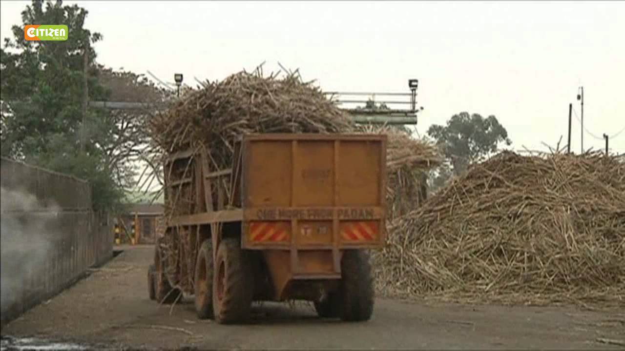 Kenyatta on El Nino, 52.9 B for Sugar Industry