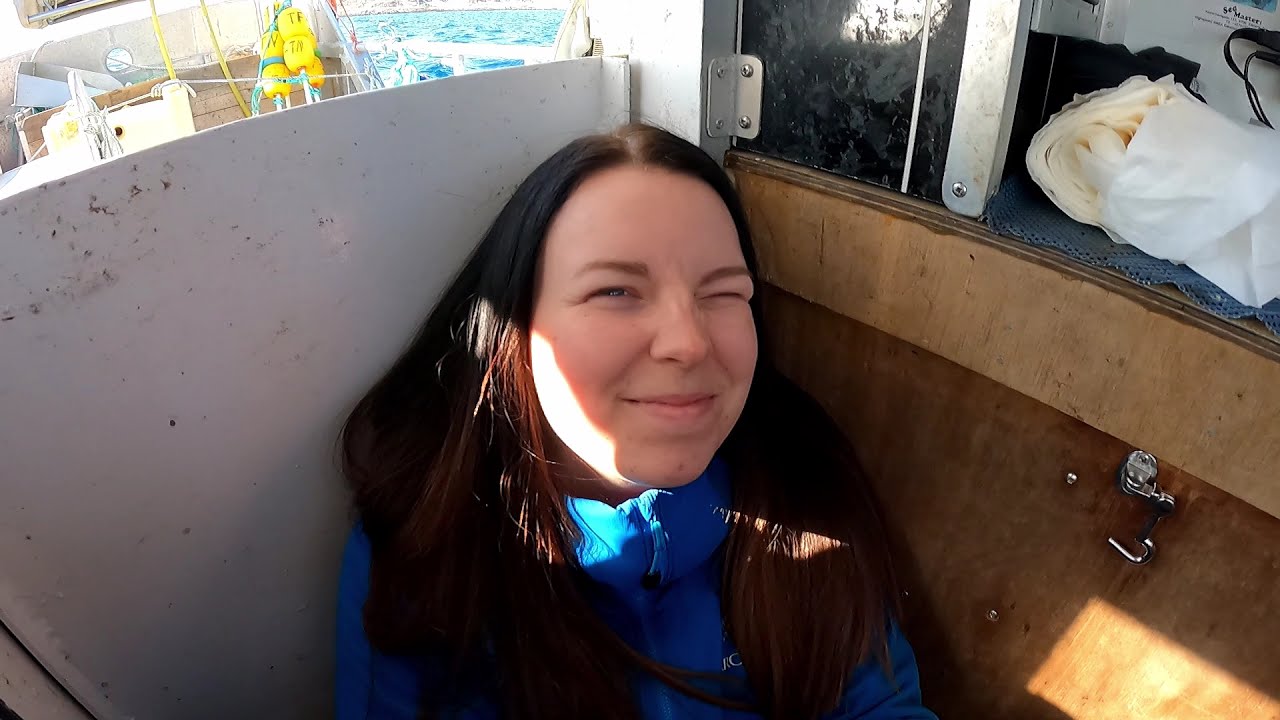 Vi gav opp fisket på Sørøya.. møtte delfiner på hjemturen!