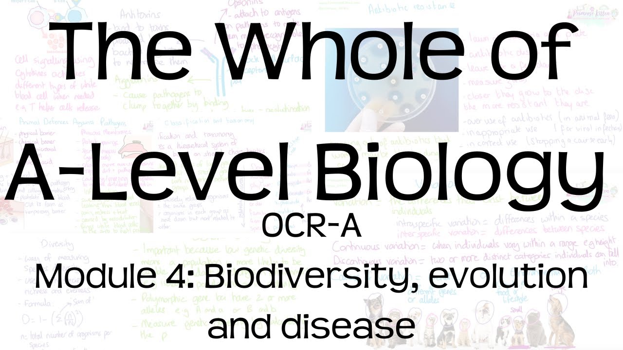 The Whole of OCR-A A-Level Biology | Module 4: Biodiversity, evolution and disease | Revision