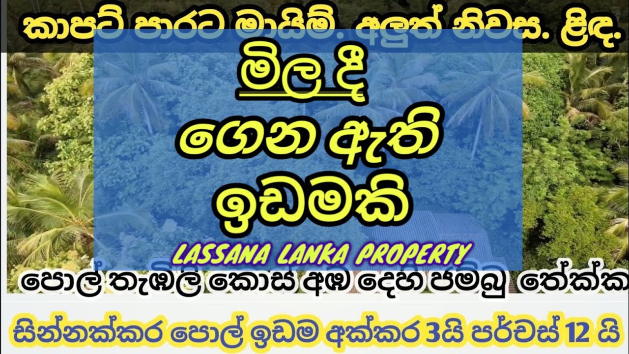 මෙන්න චාන්ස් එකක් මේ ගානට මේ වගේ ඉඩමක් අය හොයන්න බැරිවෙයි
