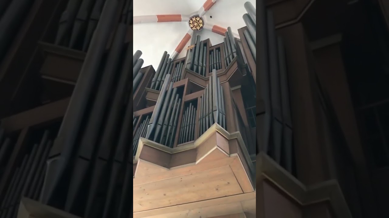 Bach Fuga BWV 542 Schuke Orgel Divi Blasii Bach Kirche M&uuml;hlhausen Fuge g-Moll Shorts