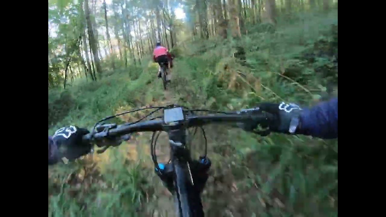 VTT