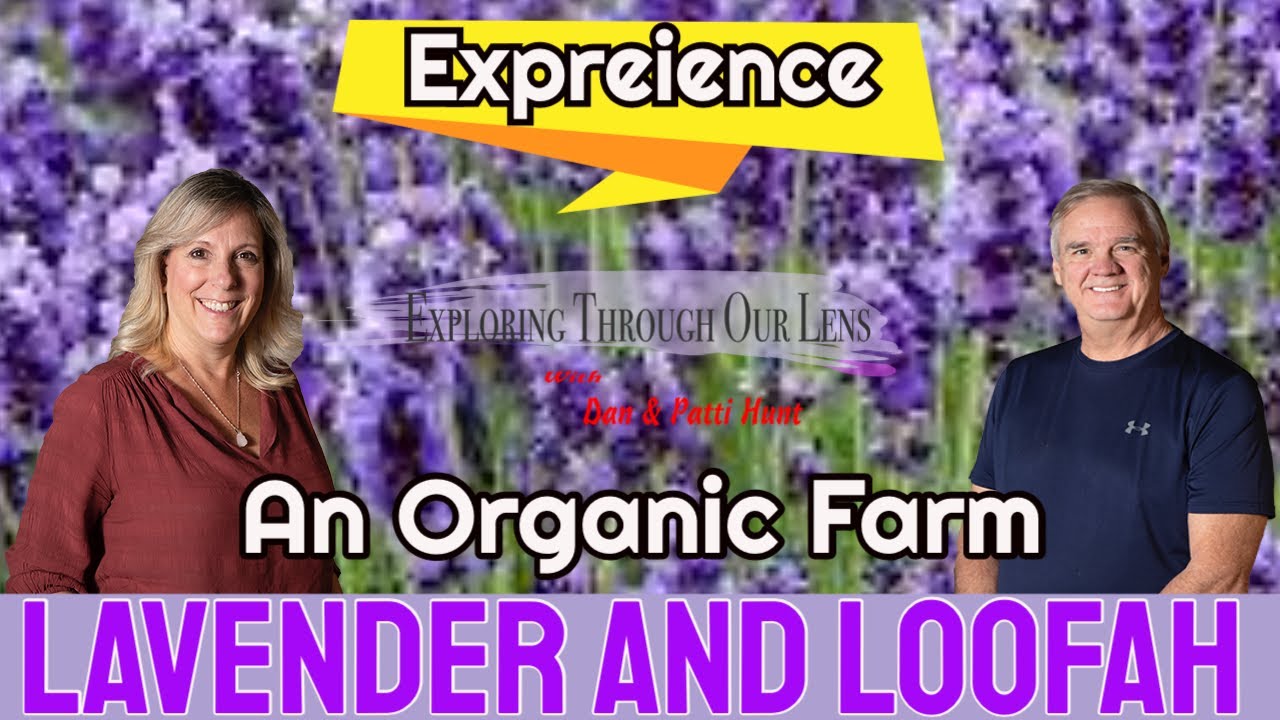 Experience An Organic  Lavender & Loofah Farm in CA | RV Living