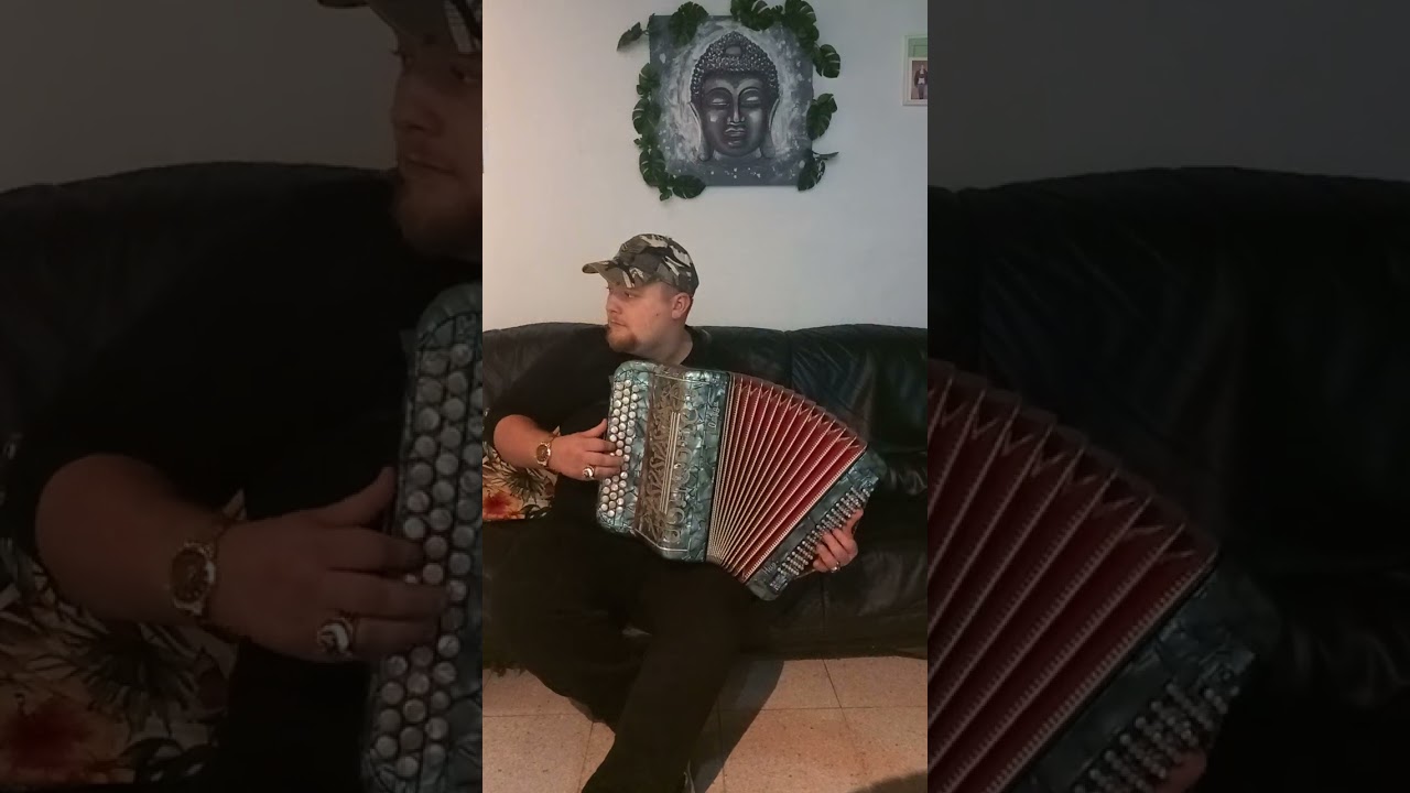 Le retour des hirondelles à l'accordéon par Jason lefever