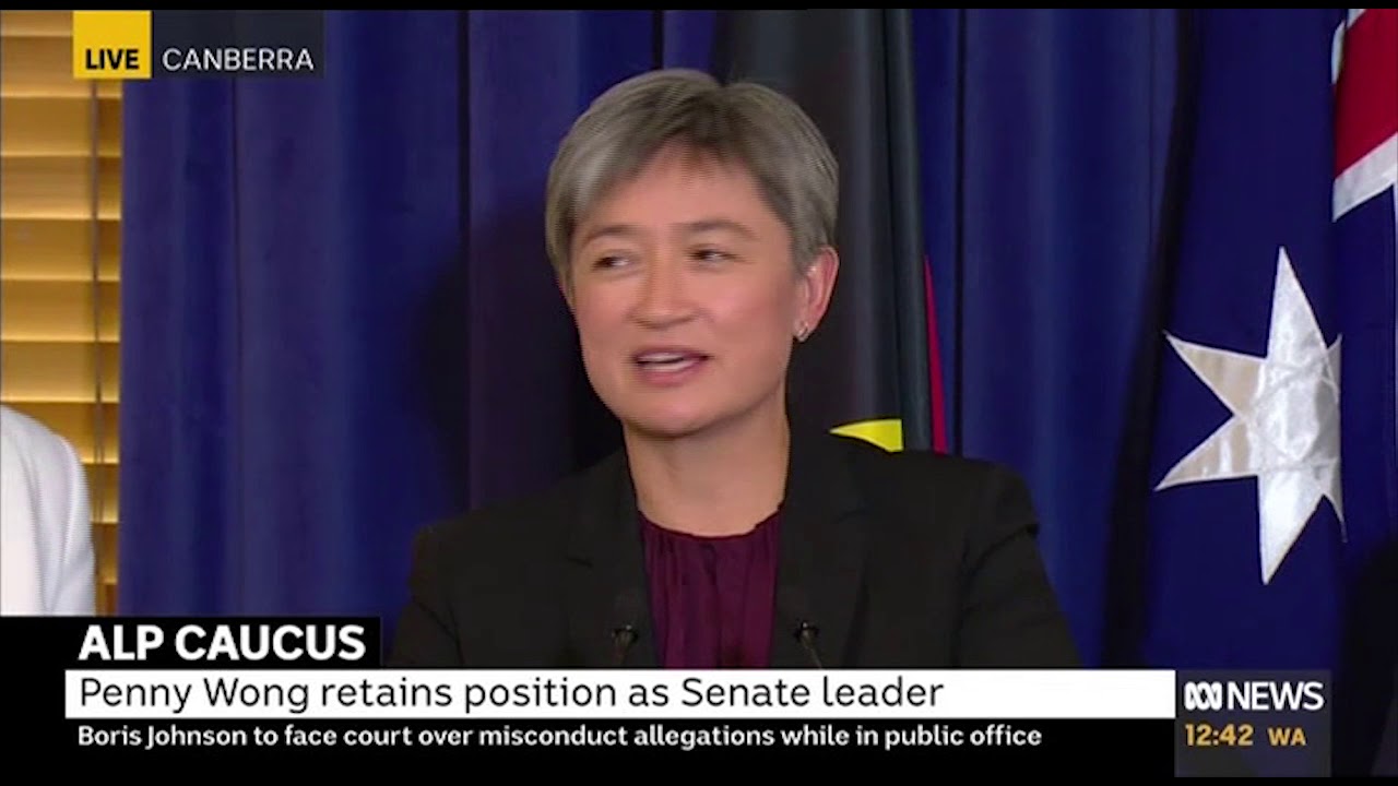 Reappointment as Leader of the Opposition in the Senate