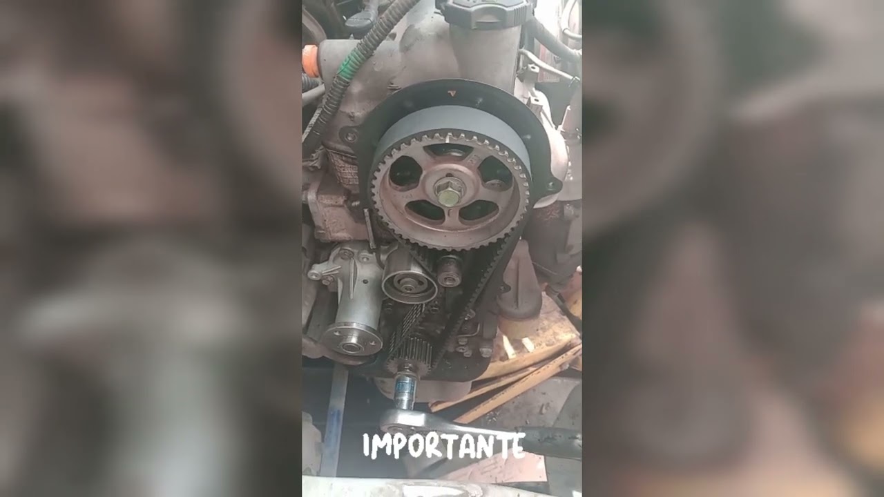 Suzuki alto 800  cambio de distribución ✌️