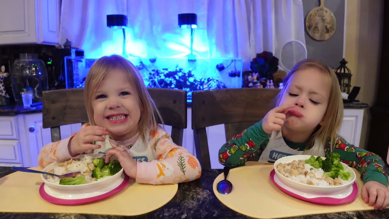 Twins have chicken and rice with broccoli 