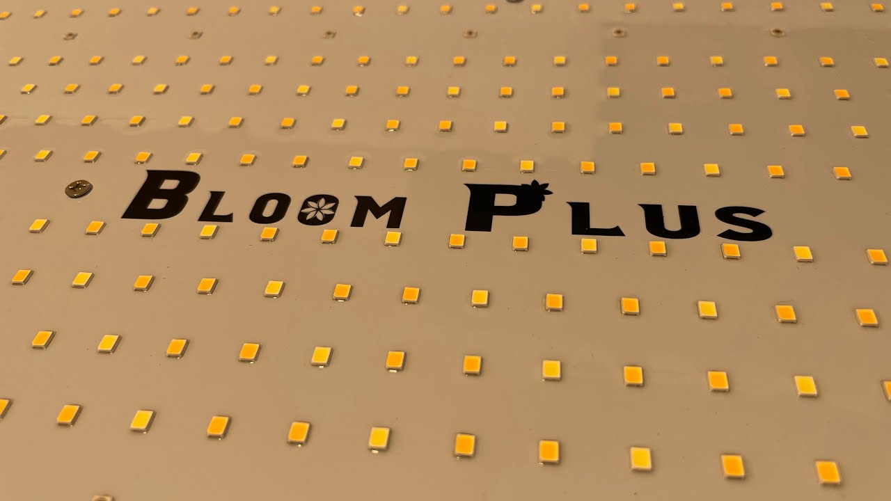 Обзор Bloom Plus BP2500 &mdash; хороший бюджетный светильник для растений.