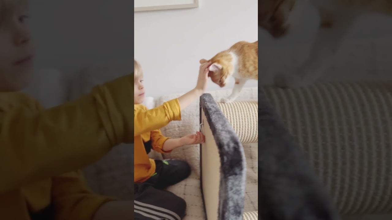 Drapak Big Cat od Zolux. Nie tylko dla dużych kotów