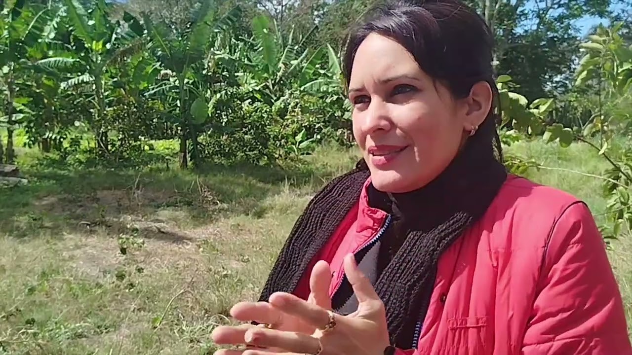 Debaten en #LasTunas anteproyecto de Ley de Posesión, Propiedad y Herencia de la Tierra.