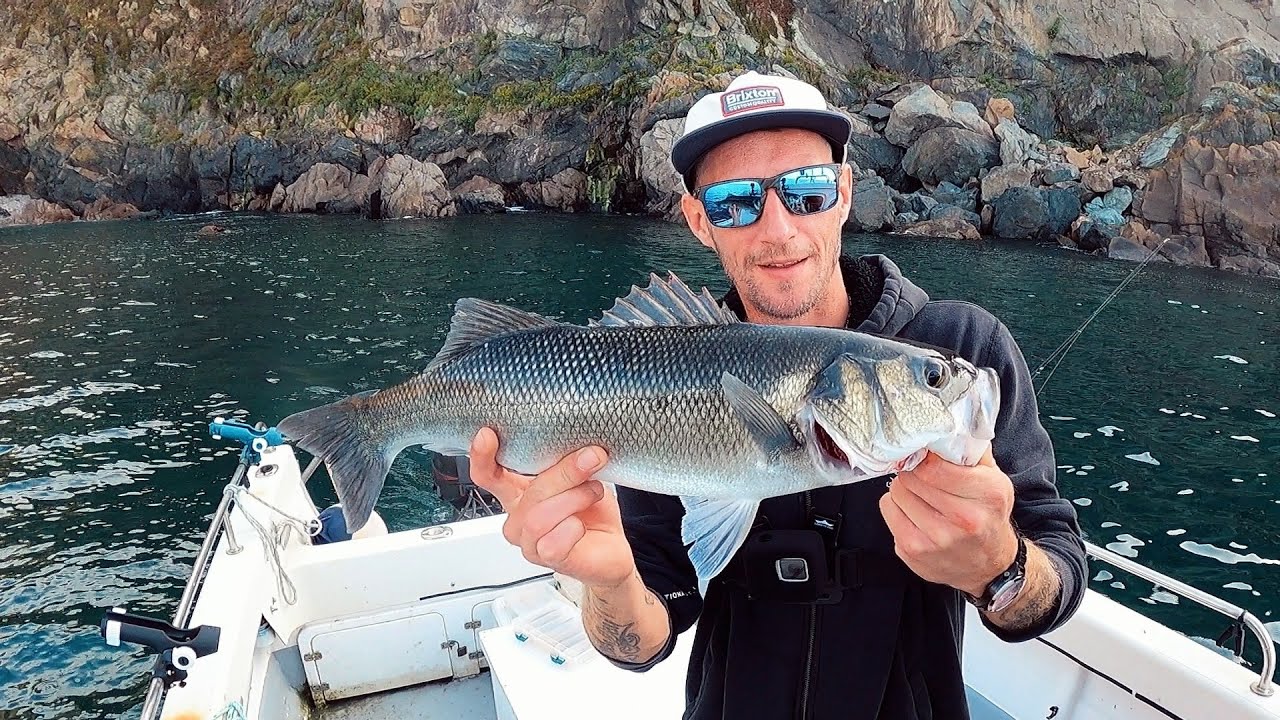 INSHORE BASS LURE FISHNG | BOAT FISHING UK | GUERNSEY