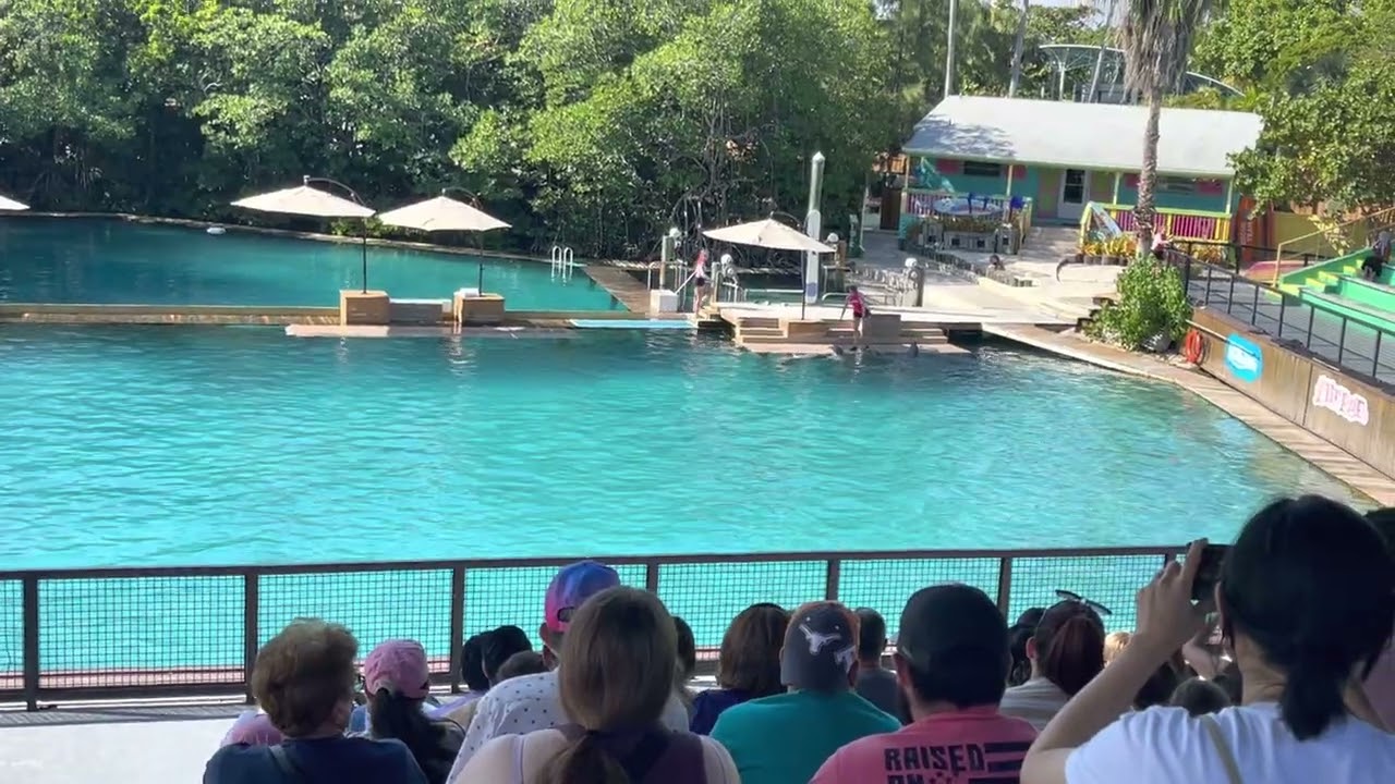 Miami Seaquarium | Florida, USA | dolphins show part 1
