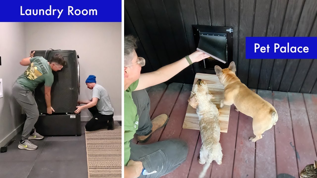 Laundry room renovation, siding replacement and pet door installation in our neglected mid-mod home.