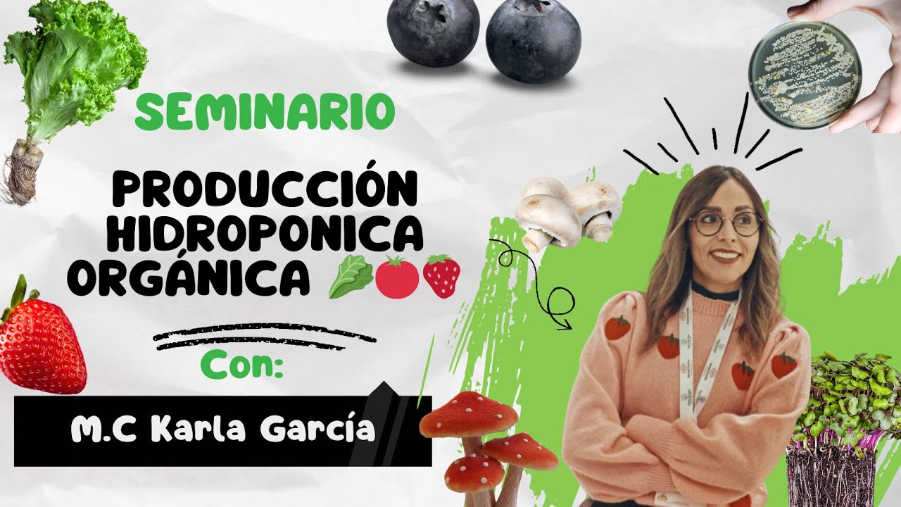 Producción Hidroponica Orgánica 🥬🍅🍓