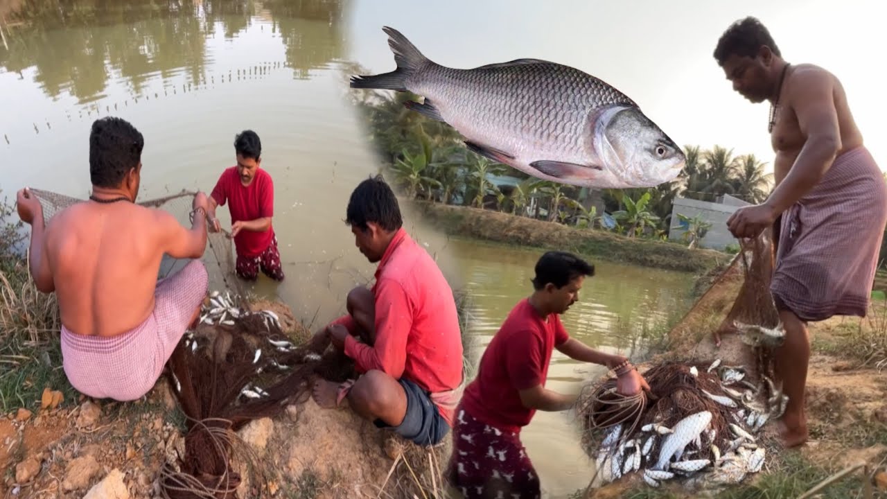 অনেকদিন পর বাড়ির পুকুরে আনন্দ করে মাছ ধরলাম ॥