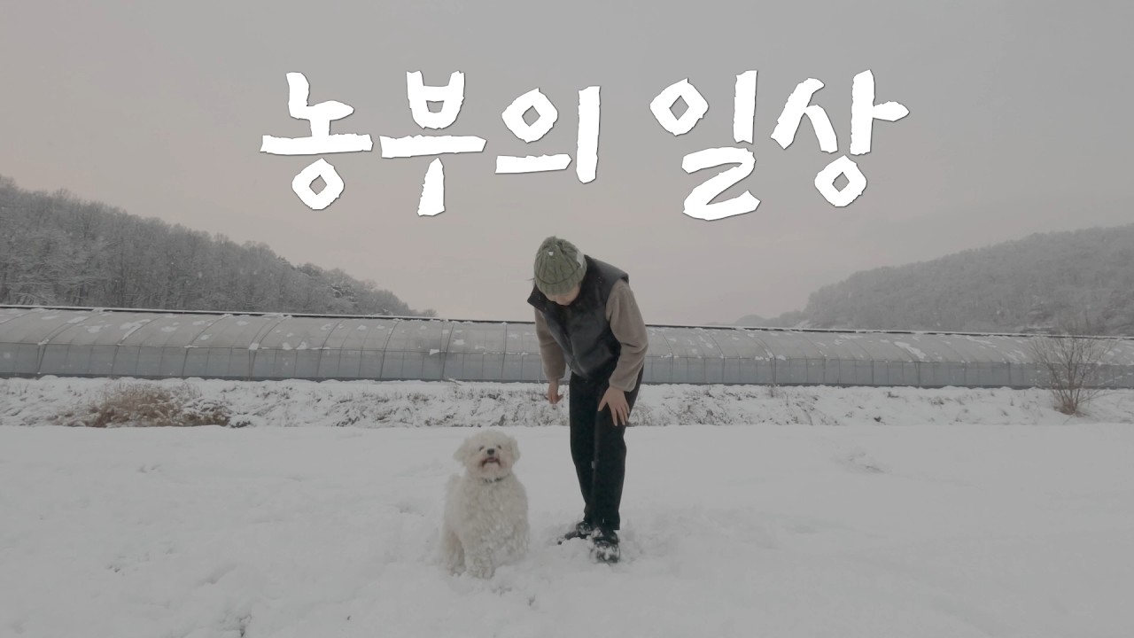 폭설이 내린 날 농부는 무슨 일을 할까 ?