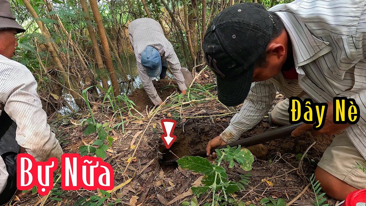 Trời Con Ếch Đại Cụ Thêm Con Rắn Nhất Nữa Quá Đã | Mười Thương Săn Bắt