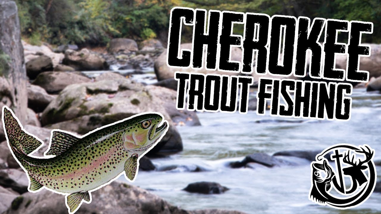 Cherokee Trout Fishing (North Carolina)