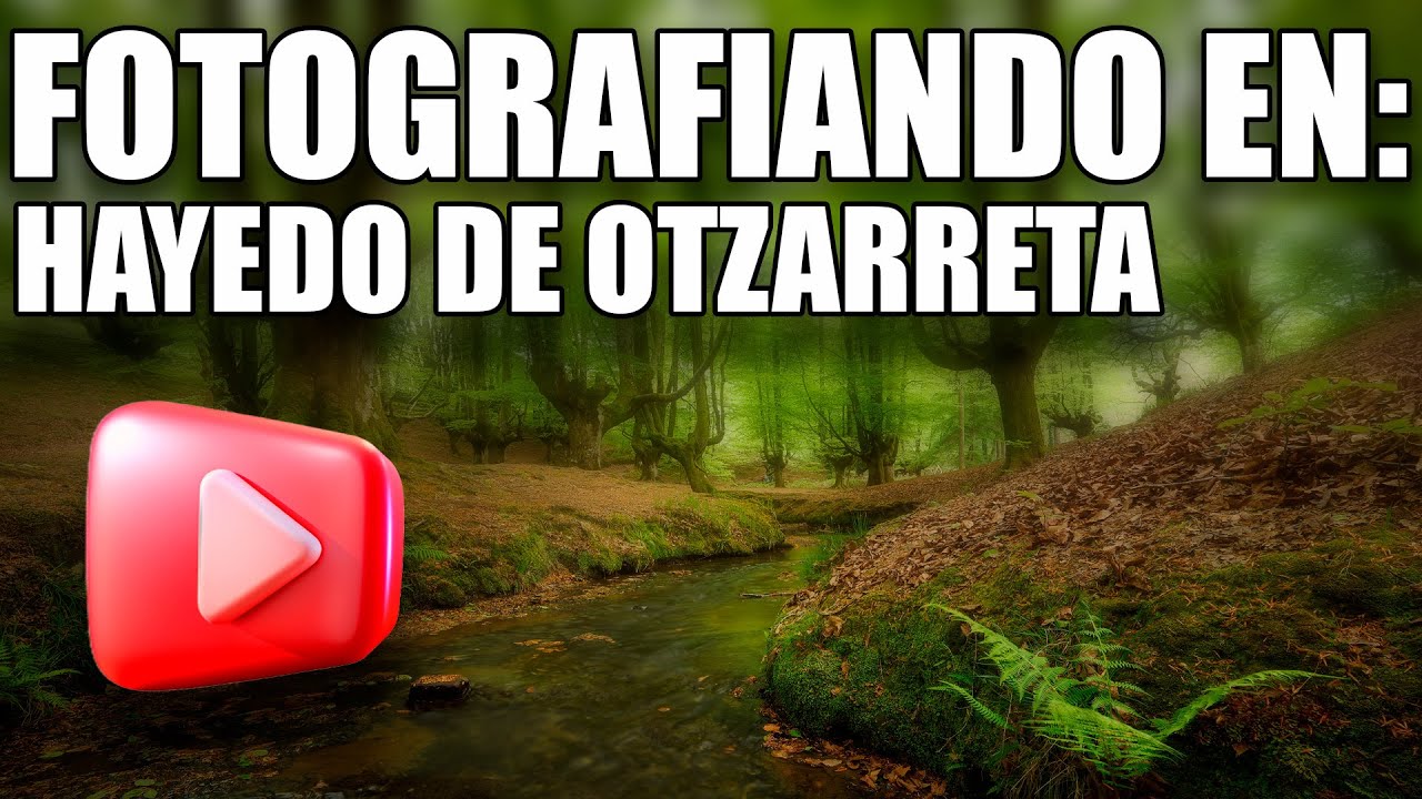 FOTOGRAFIANDO EN: HAYEDO DE OTZARRETA