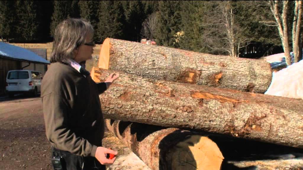 Pefc Legname di Risonanza - Dal Bosco al Violino