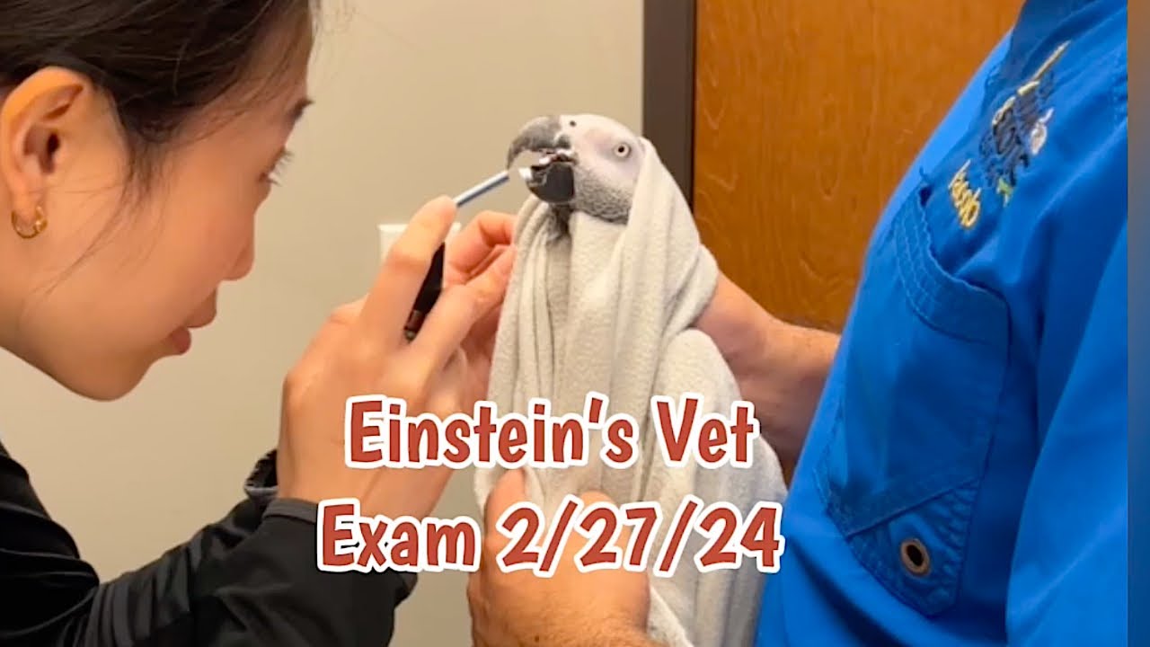 Einstein' Vet Visit 2/27/24