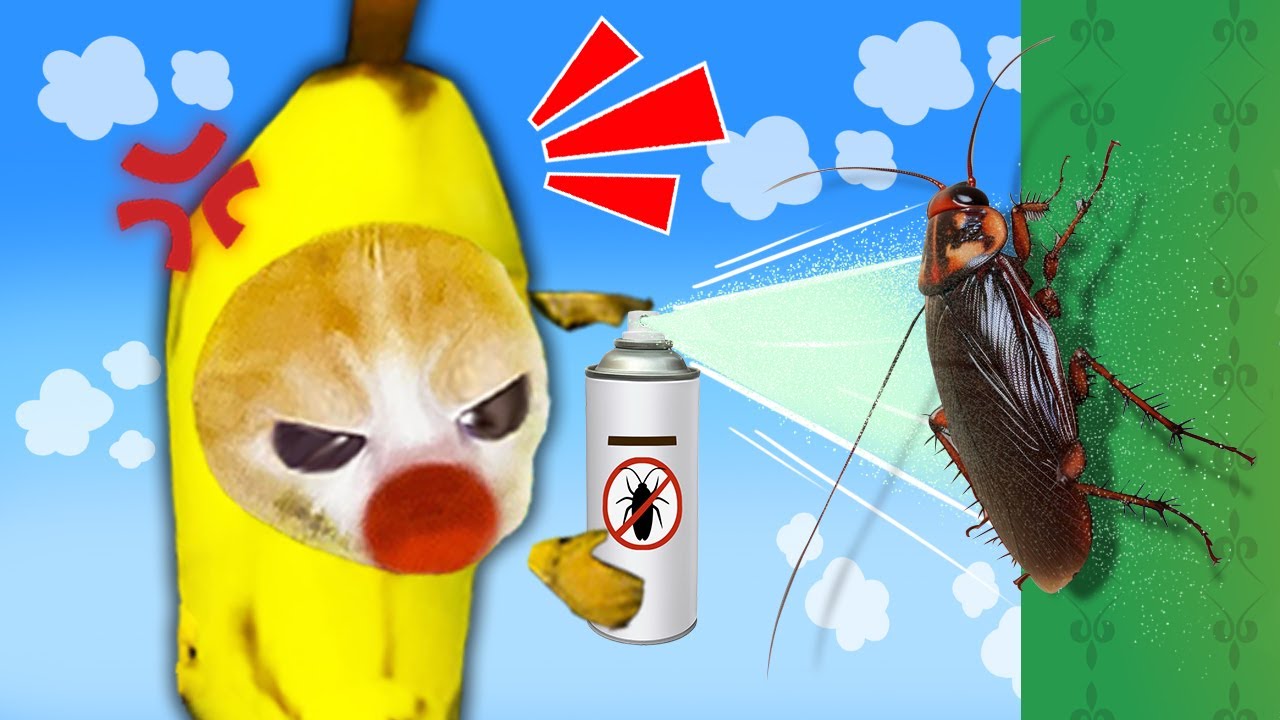 Banana Cat's Epic Struggle Against The Scary Cockroach! 🐱 Baby Banana Cat Compilation | Cat MEME 😿