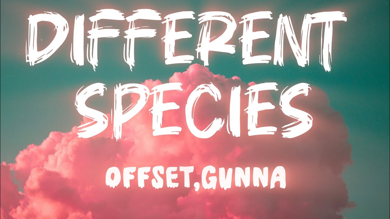 Offset &ndash; Different Species (feat. Gunna) | Official Lyrics Video 