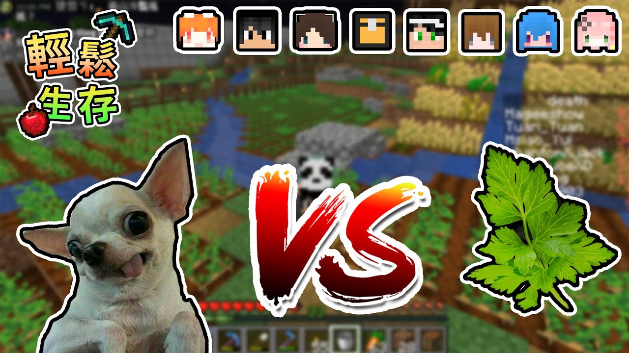 【Minecraft】世紀大抉擇，香菜V.S吉娃娃究竟團團會選擇哪一個呢...輕鬆生存｜我的世界【熊貓團團】