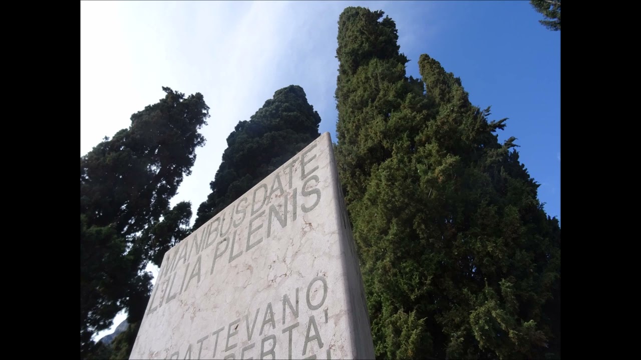 Cipressi centenari ex cimitero di Riva del Garda destinati al taglio