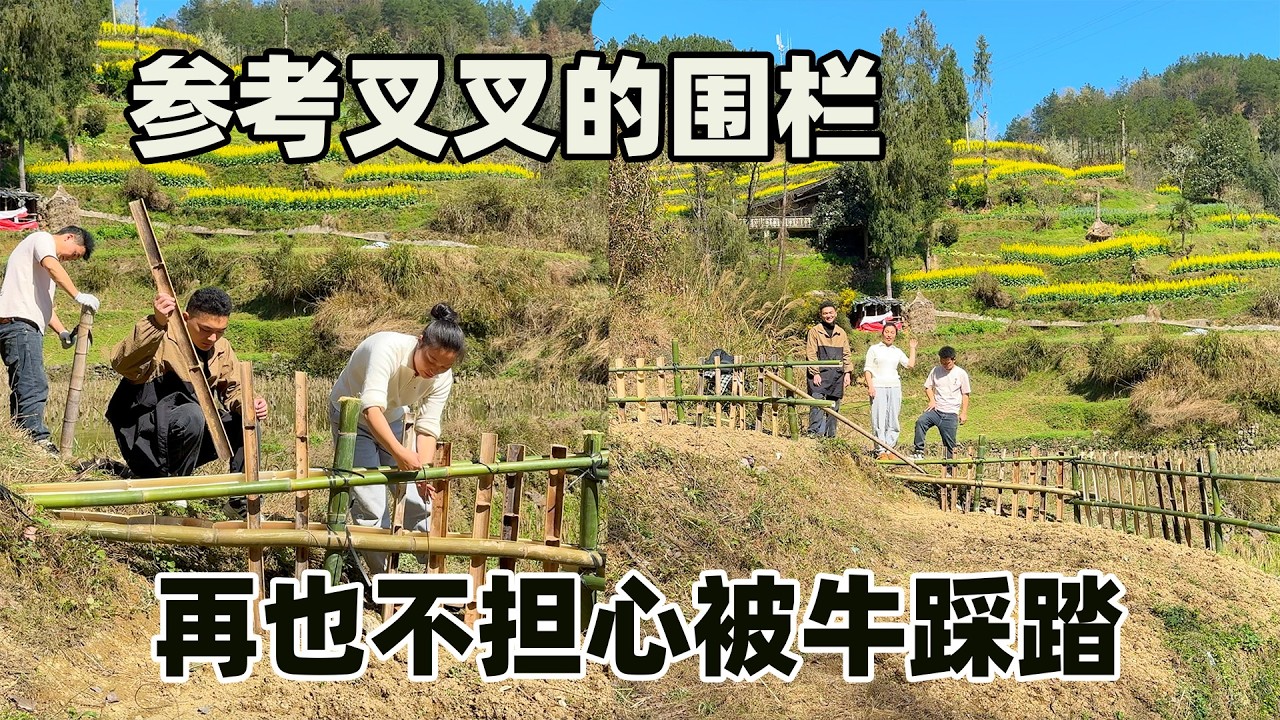 为了菜园不被踩踏，参考叉叉做的围栏，把菜地围起来，效果非常显著，再也不担心被牛踩踏了