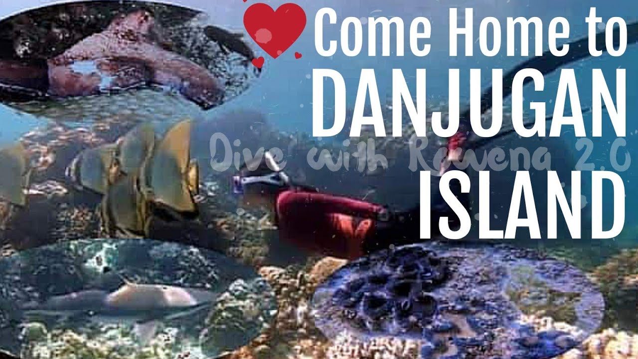 Danjugan Island Part1| SEEN SHARK, OCTOPUS, BATFISH, GIANT CLAMS Many more!|Negros Occ.