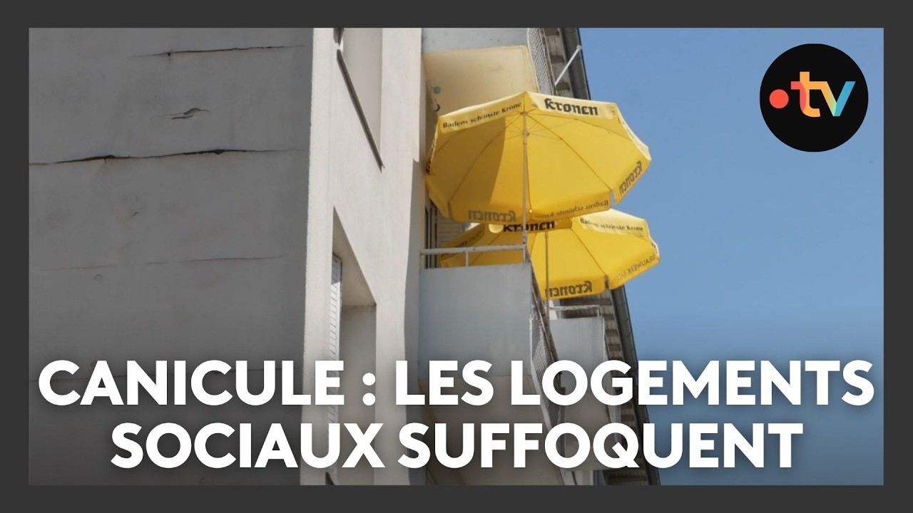 Canicule : les logements sociaux suffoquent